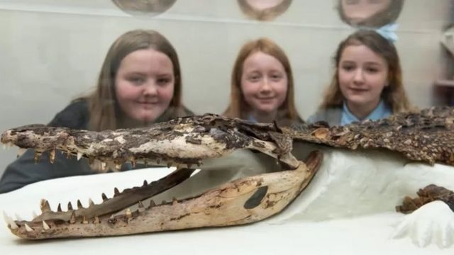 croco