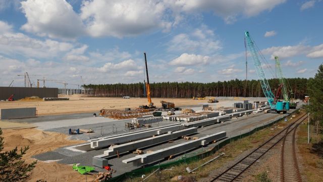 Зведення першої фабрики Tesla в Європі призупинили через змій і ящірок