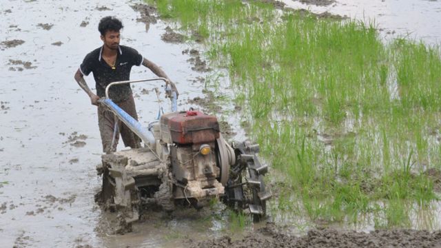 कृषि