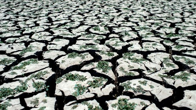 Tierra resquebrajada por la sequía en el lecho del lago Peñuelas en Chile