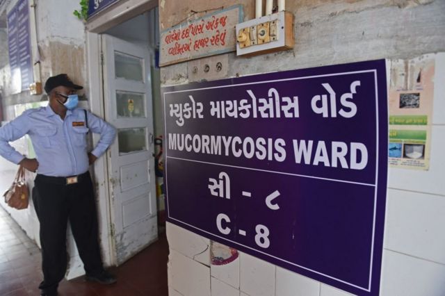 قسم خاص برعاية مرضى الفطر الأسود في إحدى المستشفيات بولاية غوجارات الهندية