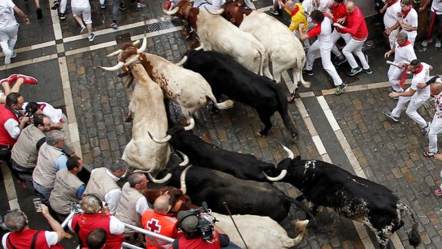 Bulls in the streets during the San Fermín festival in Pamplona July 2018