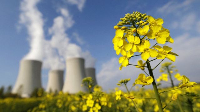 The Temelin nuclear plant in Czech Republic, seen in the background of a mustard flower field