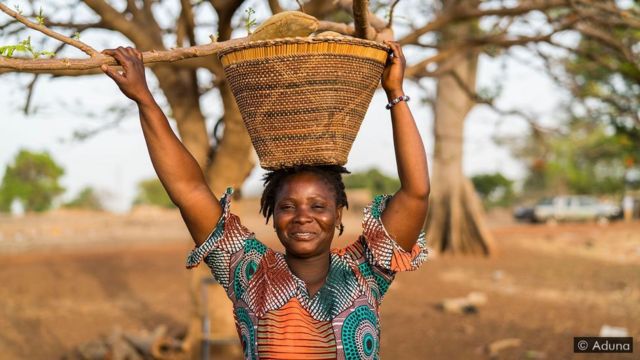 A colheita de baobá deu voz às mulheres do norte de Gana em suas comunidades