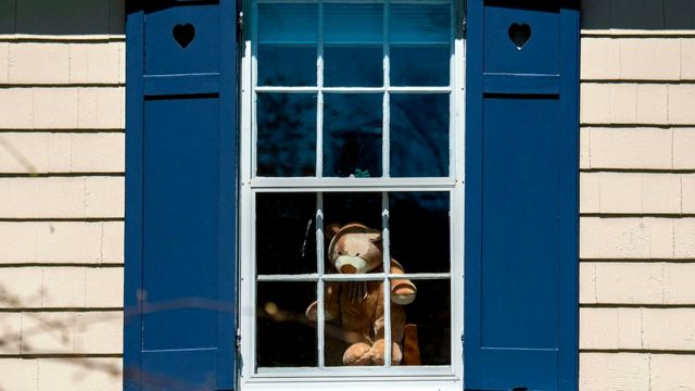В США и Австралии многие люди ставят на окно мягкие игрушки, чтобы дать детям возможность немного отвлечься во время пандемии