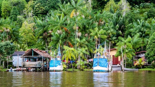 Região amazônica na Guiana Francesa, com casas em palafitas em meio a árvores e na beira do rio