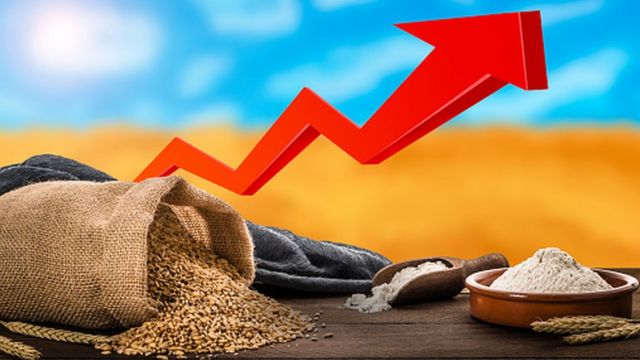 Через війну в Україні світові ціни на харчі різко зросли, а кілька країн опинилися перед загрозою голоду