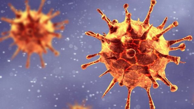 خلية لفيروس كورونا