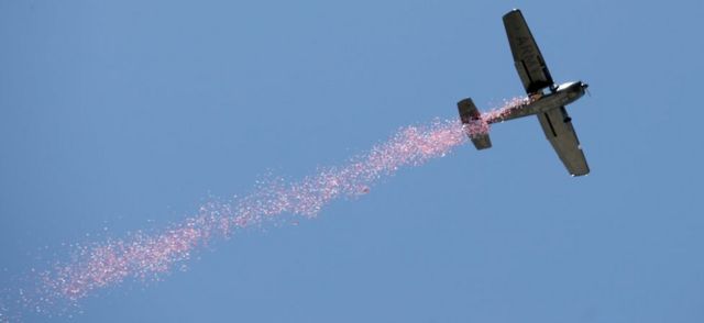 Poppies are released by plane during a Remembrance Day ceremony in Adelaide, Australia, 11 November 2018