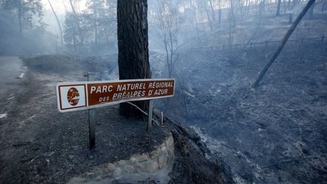 Внаслідок пожежі постраждав національний парк Préalpes d'Azur