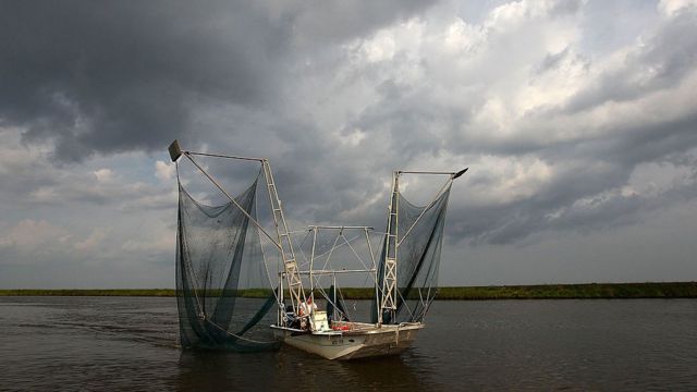 Pescador en el Golfo de México