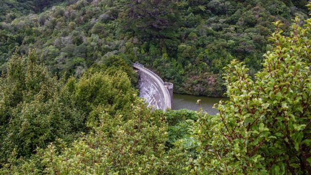 كان موقع محمية "زيلانديا" يمثل في يوم ما واديا أُقيم فيه سد لتوفير المياه للعاصمة النيوزيلندية ويلينغتون