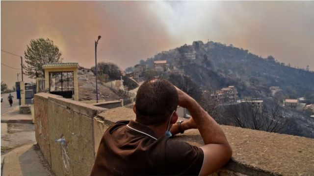 حرائق كبيرة في الجزائر
