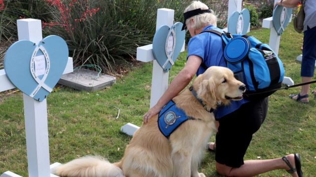 Una persona se arrodilla frente a una cruz acompañada de un perro labrador