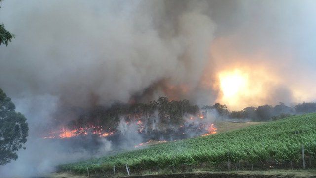 Burning brush land near Geoff Weaver Wines in the Adelaide Hills region of Australia.