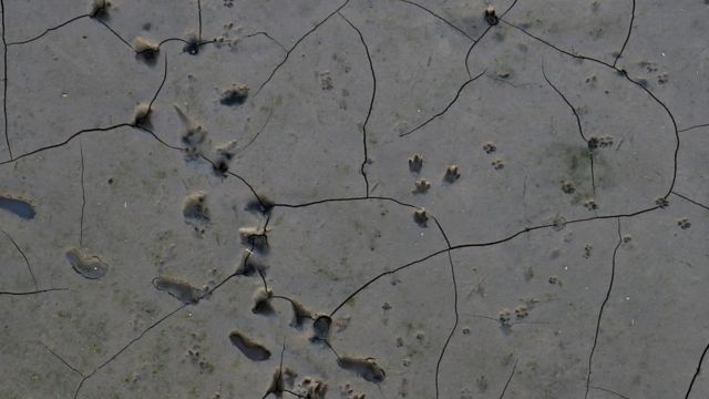 Pegadas são retratadas em uma área seca às margens do rio Paraná, em Rosário, Argentina. A falta de chuvas no Brasil, de onde nasce o rio, fez baixar o nível das águas na Argentina, obrigando os cargueiros a reduzir a quantidade de grãos carregados para exportação. 8 de julho de 2021.