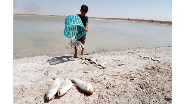 تفاقم تدهور جودة المياه حول البصرة، جنوبي العراق، بسبب انخفاض تدفقات الأنهار نتيجة بناء السدود في تركيا