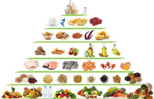Qu'est-ce qu'une alimentation saine et équilibrée ?