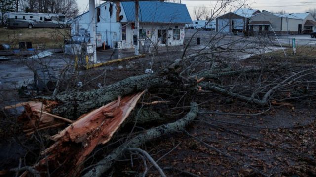 Árboles caídos y edificios dañados tras el paso de tornados en Mayfield, Kentucky, 11 de diciembre de 2021