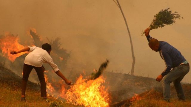 喜马拉雅的创纪录森林大火让科学家们忧心忡忡(photo:BBC)