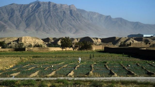 یک مرد در حال قدم زدن در مسیری خارج از پایگاه نظامی در بگرام در اول ژوئیه ۲۰۲۱