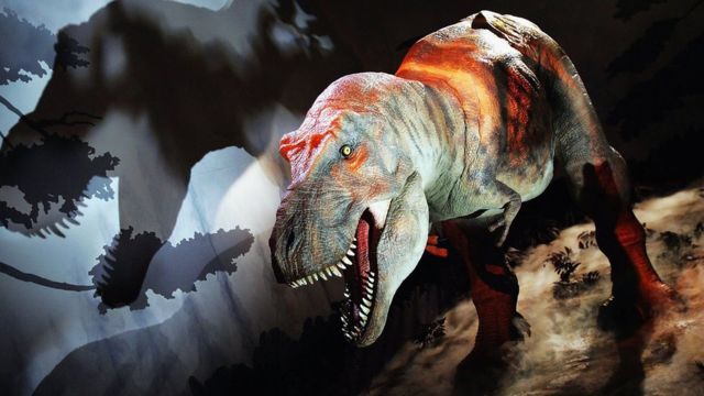 El desconocido lado sensible de Tiranosaurio rex, uno de los dinosaurios  más feroces del planeta - BBC News Mundo