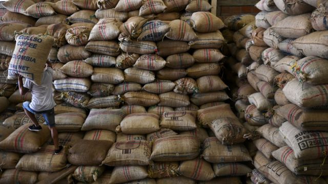 Recolectores de café en Colombia