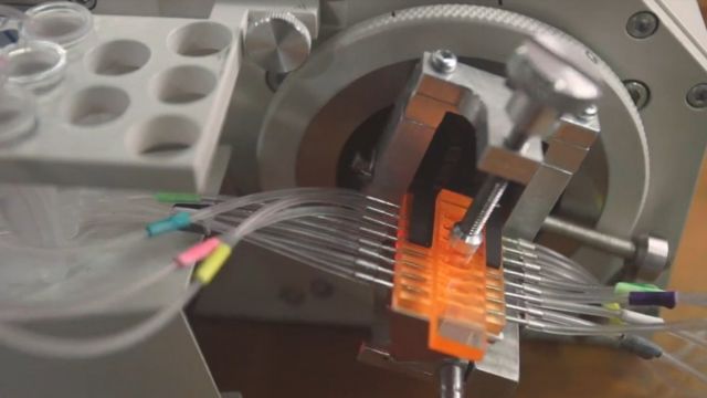spr, pcr