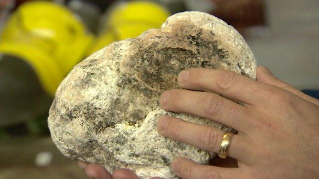 Lump of whale sick sells for thousands - CBBC Newsround