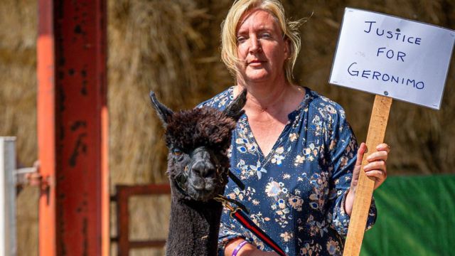 Helen Macdonald ve geronimo