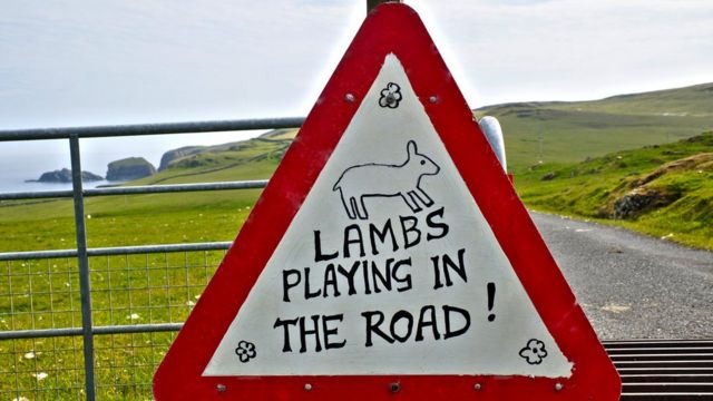 Дорожный указатель на Шетландских островах