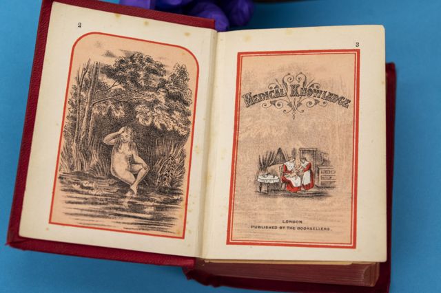 раскрытая книга, 1855