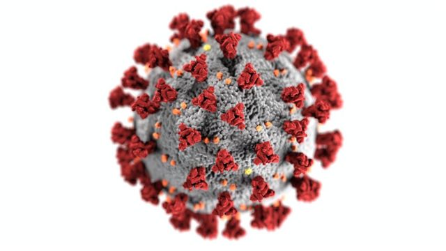 Coronavirus