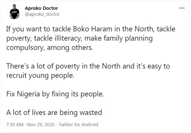 Boko Haram attack: Borno Rice farmers murder, village victims of decapitation