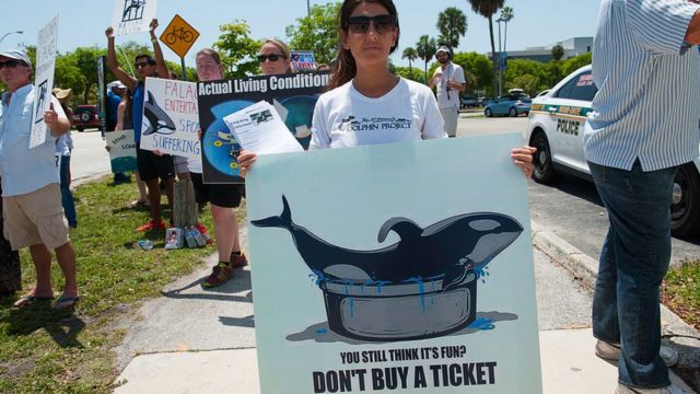 Manifestantes piden la liberación de Lolita frente al Seaquarium, el 9 de mayo de 2015 en Miami
