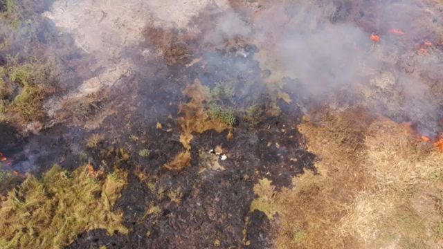 Área do Pantanal alvo de queimadas, neste mês de setembro