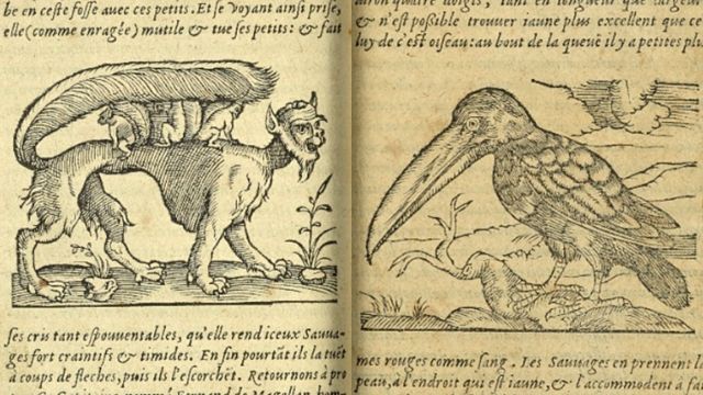 La bestia Sucarate, también denominada succarath o su(izq.) y el tucán (der.) - New York Public Library