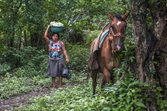 Una mujer cargando maíz para moler camina mientras los caballos descansan en San Vicente. Según la Organización de las Naciones Unidas para la Agricultura y la Alimentación, la pobreza rural en El Salvador ha llegado al 49%.