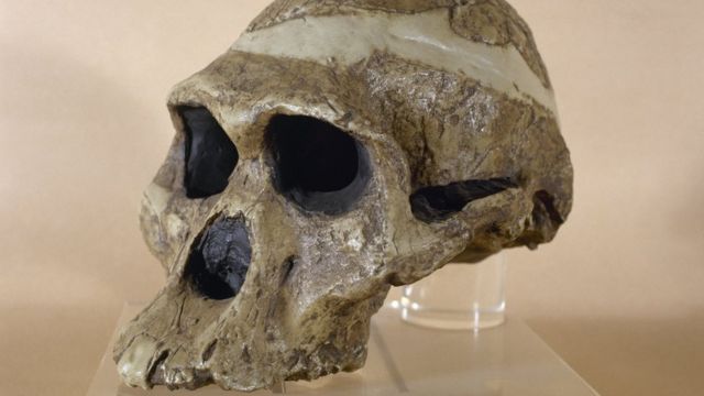 En eski atalarımıza ait fosiller düşünülenden ‘bir milyon yıl daha yaşlı’