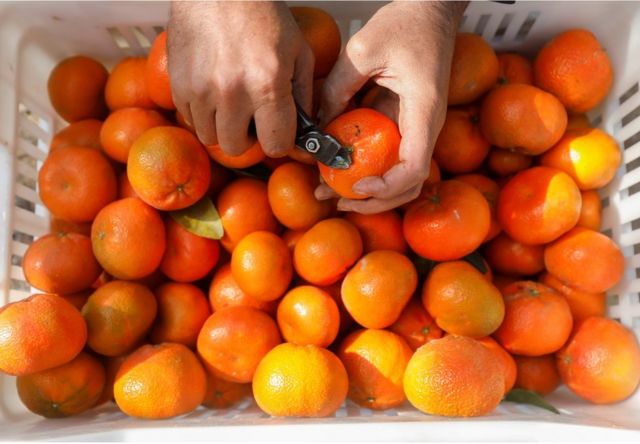 Like stacked citrus, spherical particles will not stack perfectly and smoothly.