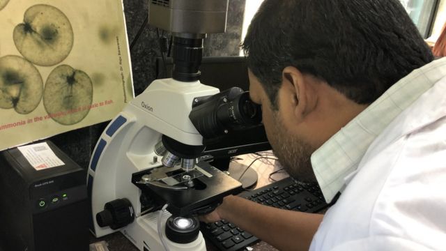 ஆராச்சியில் ஈடுபடும் விஞ்ஞானிகள்