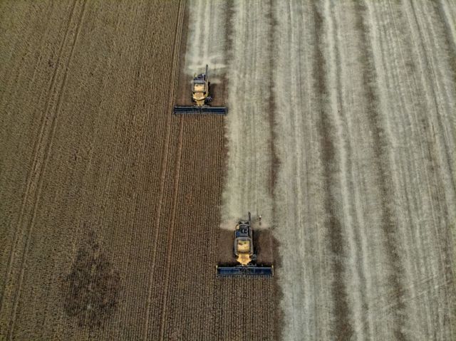 M&aacute;quinas colhendo soja no Rio Grande do Sul