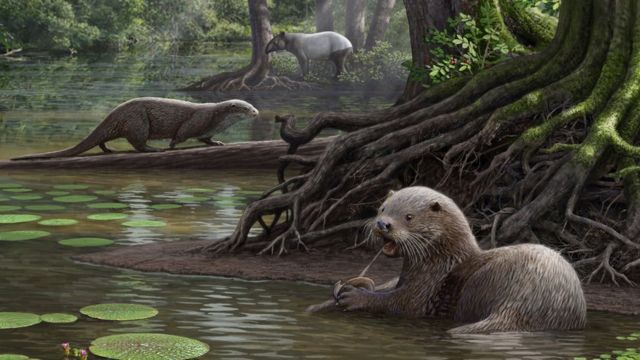 Artist impression of the huge otter