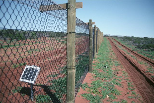 Противокошачий электрический барьер на солнечных батареях