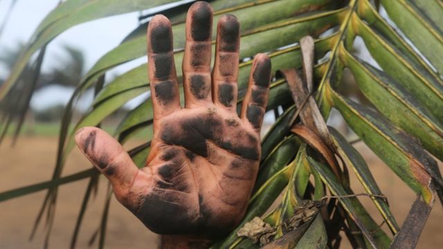 ගල් අඟුරු බලාගාරය අසල වැසියකු අඟුරු කුඩු නිසා කළු ගැසුණ සිය අතක් පෙන්වමින්