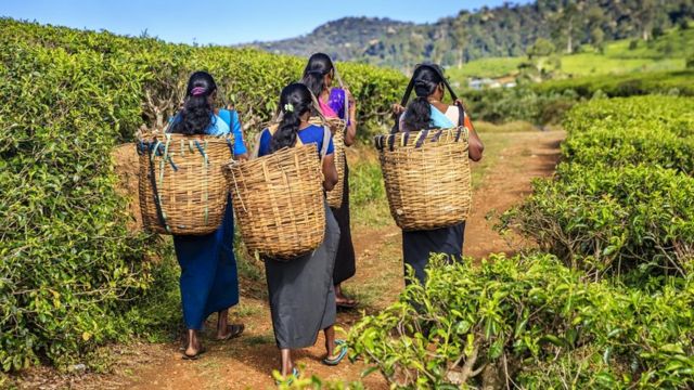 இலங்கை : மஹிந்த ராஜபக்ஷவுடன் சமரசமாக செல்வேனா? - அமைச்சர் ஜீவன் தொண்டமான் பேட்டி