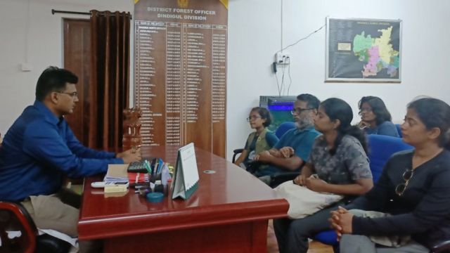 மஞ்சள் எறும்புகள்