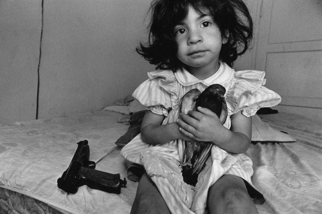 طفلة صغيرة تحتضن حمامة وبجوارها مسدس.