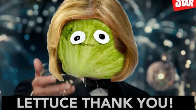 Lettuce drawing with wig