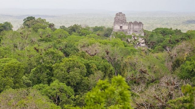 Las pirámides de Tikal.